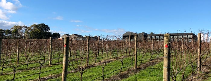 Willow Creek Vineyard is one of Top Drop Wineries.