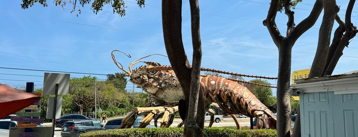 Big Lobster is one of Key West.