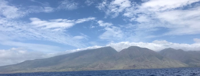 Maui Adventure Cruises is one of Locais salvos de Jin.