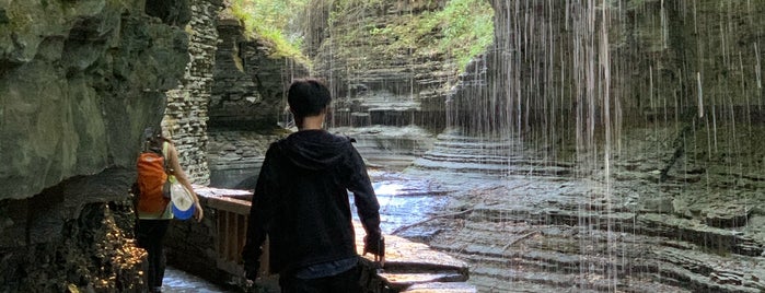 Watkins Glen Gorge Trail is one of Upstate NY.