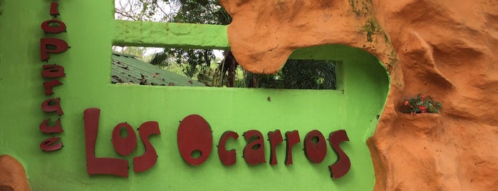Bioparque los ocarros is one of Los Llanos.