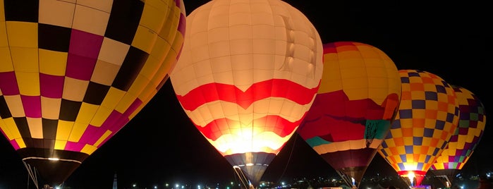 Balloon field is one of Balloon Fiesta Landings.