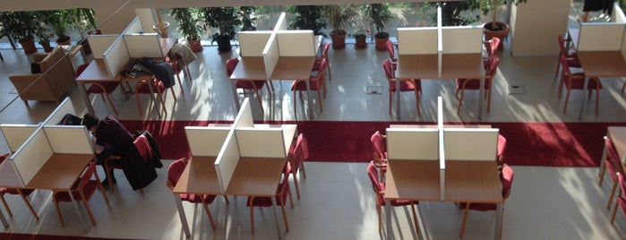 Namık Kemal Üniversitesi Merkez Kütüphanesi is one of Tempat yang Disukai Pınar- Musa.