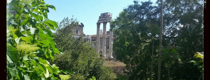 Roman Forum is one of Roma en día y medio.
