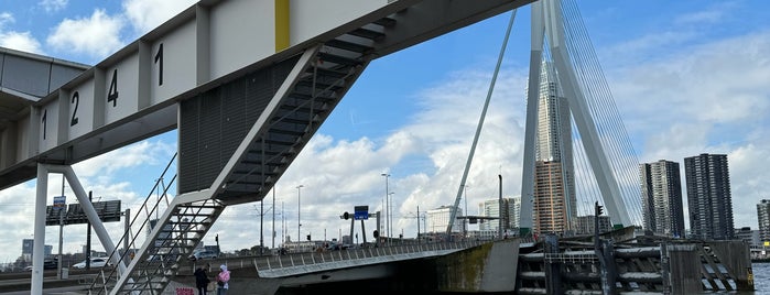 Port of Rotterdam is one of Visited Cities.