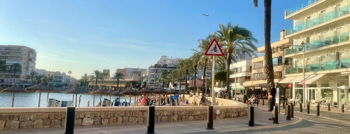 Marisquería Internacional is one of Mallorca.