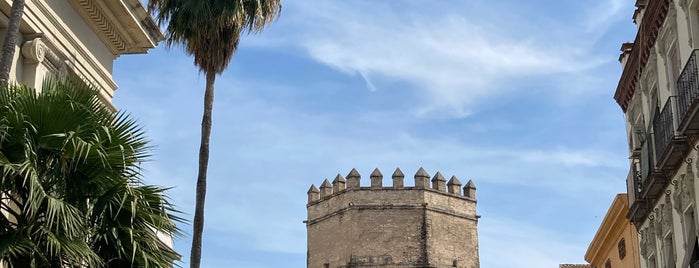 Torre de la Plata is one of Qué ver en Sevilla.