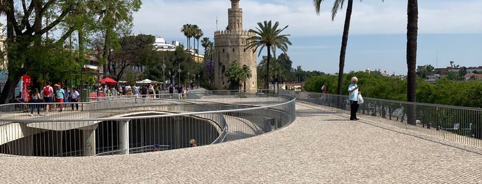 Torre del Oro is one of Sevilha.
