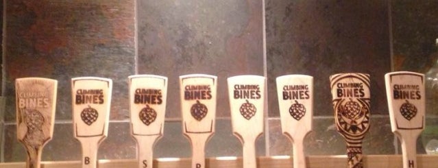 Climbing Bines is one of NY Breweries-Upstate.