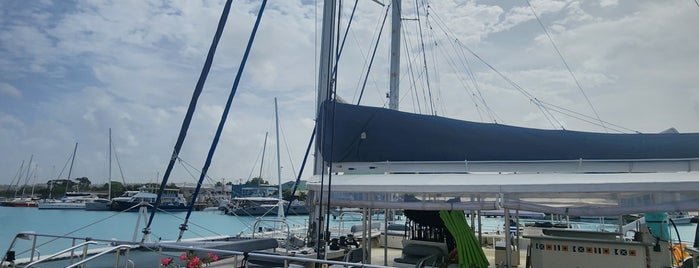 Tiami Cruises is one of Barbados.