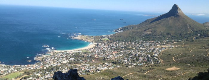 Table Mountain National Park is one of Travel Guide to Cape Town.