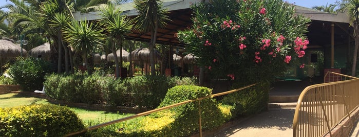 Rosa Agustina Club Resort & Spa is one of Entretenimiento.