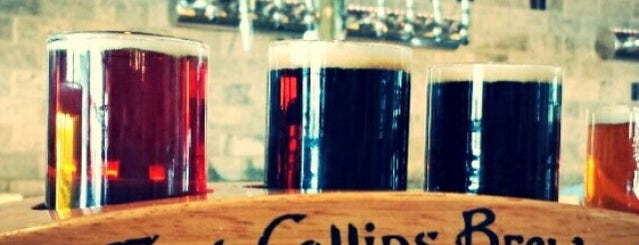Fort Collins Brewery & Tavern is one of Bikabout Fort Collins.