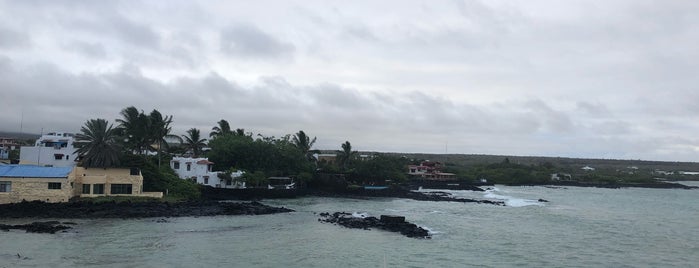 Hotel Solymar Galapagos is one of Lieux qui ont plu à Antonio Carlos.