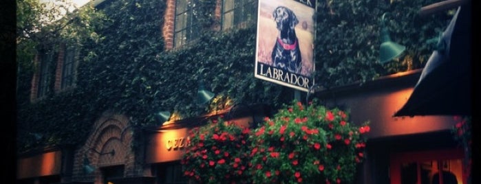 The Black Labrador is one of Houston Foodie.
