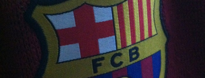 Camp Nou is one of Salud y Deporte.