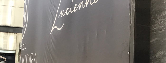 Lucienne is one of Houston Restaurants.