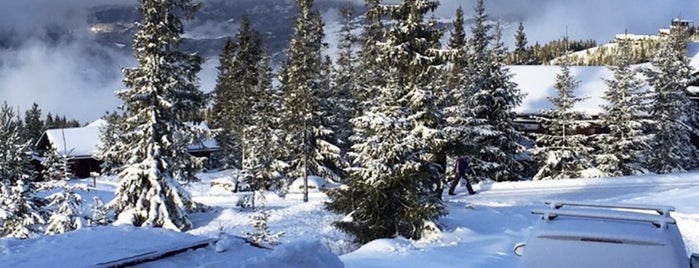 Mountain Lodge is one of Homes.