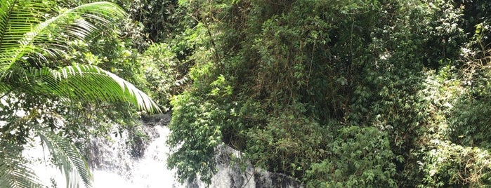 Cachoeira Pedra Branca is one of Paraty-RJ.