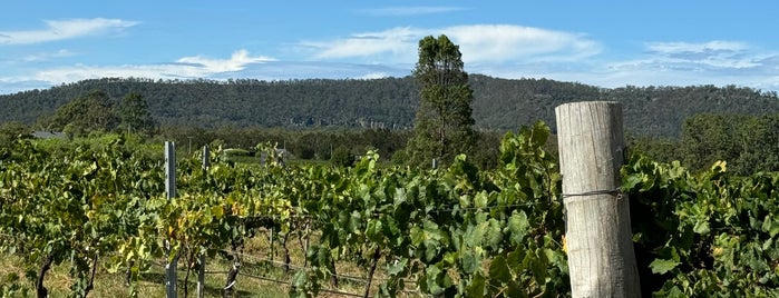 Margan Wines and Restaurant is one of Hunter Valley.