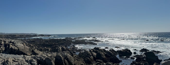 17 Mile Drive is one of PCH.