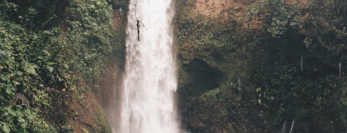 La Paz Waterfall Gardens is one of สถานที่ที่ María ถูกใจ.