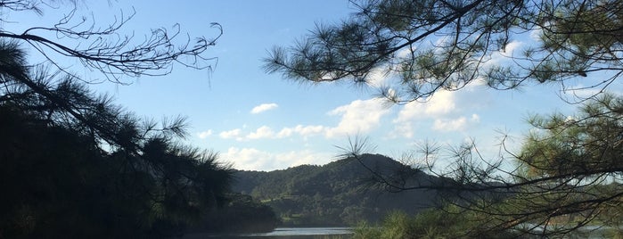 Rio dos Cedros is one of Municípios de Santa Catarina.