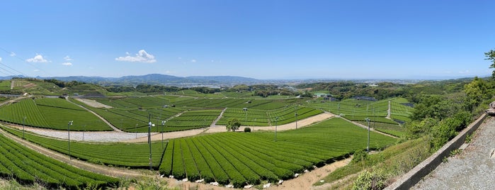Yame Chuo Tea Gardens is one of Fukuoka.