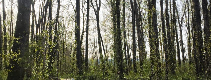 Kelly Pointe Park is one of Portland.