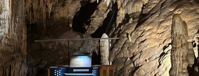 The Great Stalacpipe Organ - Luray Caverns is one of Summer 2020.