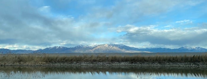 Bear River Migratory Bird Refuge is one of my new done list.