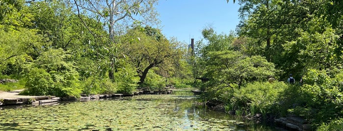 Alfred Caldwell Lily Pool is one of Chicago.