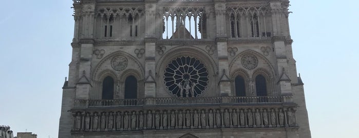 Notre Dame Katedrali is one of Siobhán'ın Beğendiği Mekanlar.