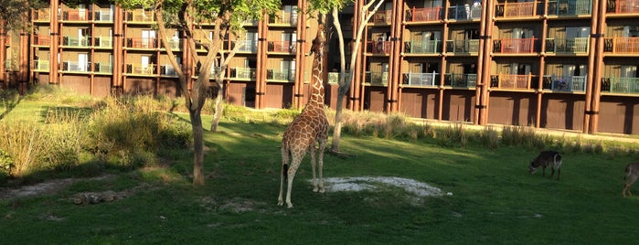 Disney's Animal Kingdom Lodge is one of Walt Disney World Resorts.