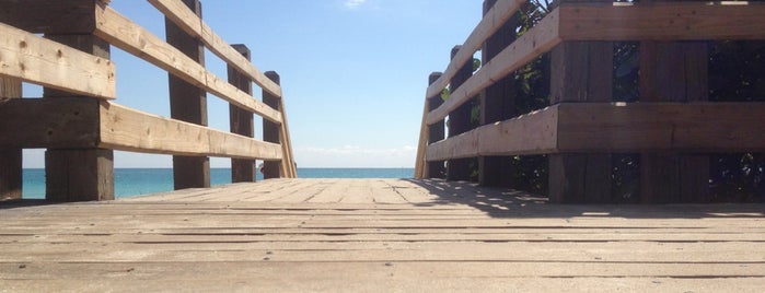 Miami Beach Boardwalk is one of visited here.