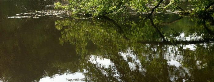 Shade Swamp Sanctuary is one of John : понравившиеся места.