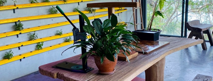 Botanikka Eco Café is one of Soly'un Kaydettiği Mekanlar.