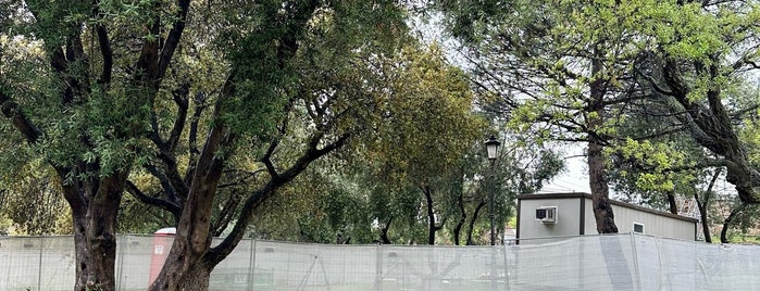 Parco del Colle Oppio is one of cose manco a roma!.