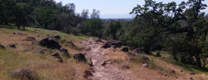 Bidwell-Sacramento River State Park is one of Favorites.