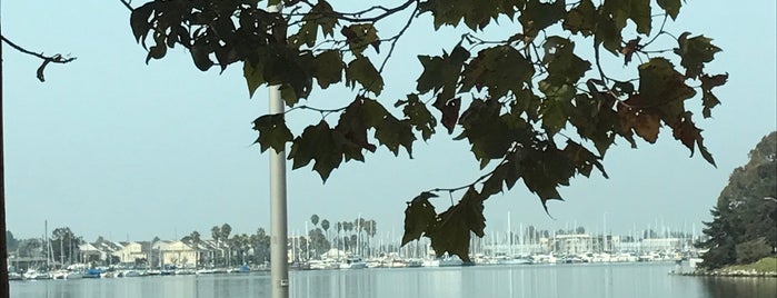 Oakland Harbor is one of madamada.