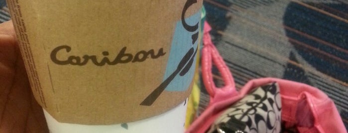 Caribou Coffee is one of Lieux qui ont plu à T.
