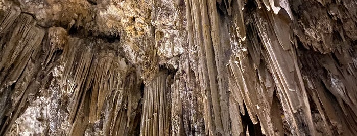 Caves of Nerja is one of Malaga.