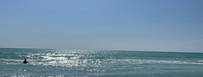 Spiaggia di Rimigliano is one of Tuscany.