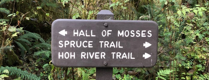 Hall of Mosses is one of WA State.