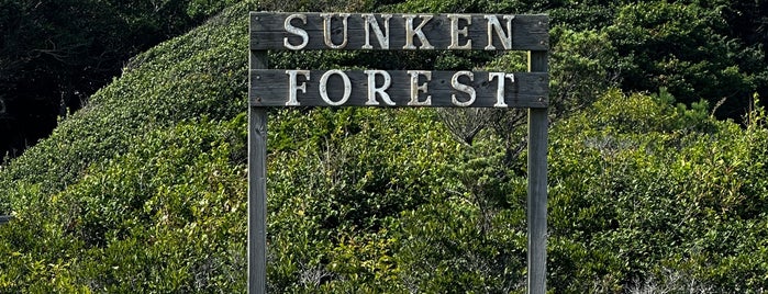 Sunken Forest is one of Long Island.