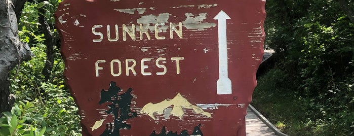 Sunken Forest is one of สถานที่ที่บันทึกไว้ของ Rex.