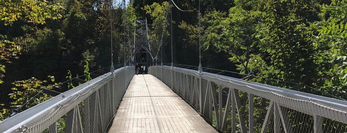 Suspension Bridge is one of สถานที่ที่ Pilgrim 🛣 ถูกใจ.