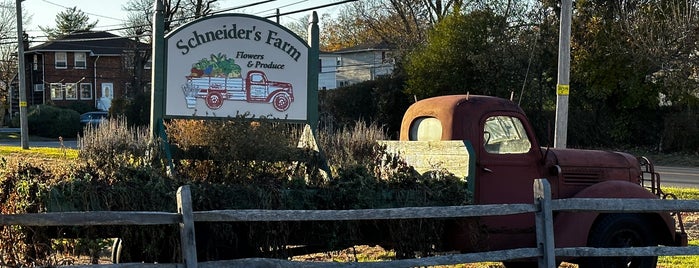 Schneider's Farm Stand is one of Long Island.