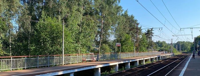 Платформа Некрасовская is one of Савеловское направление.