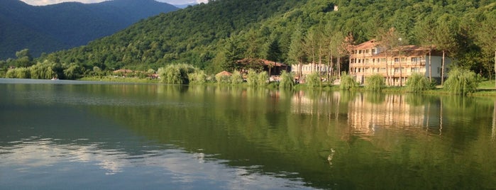 Озеро Лопота is one of Kakheti and around.